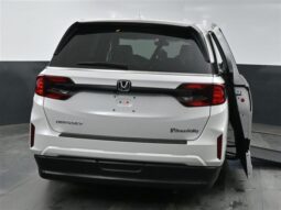 Honda Odyssey EX-L SB059886