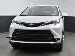 
										Toyota Sienna XLE SS237685 full									