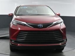 Toyota Sienna XLE SS245943